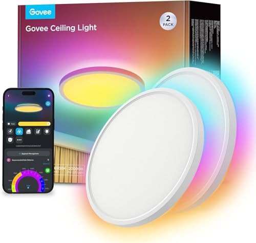 Govee Stropna Svjetiljka H60A1