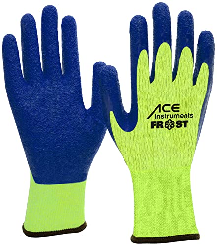 ACE Frost 09