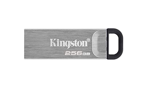 Kingston DTKN/256GB