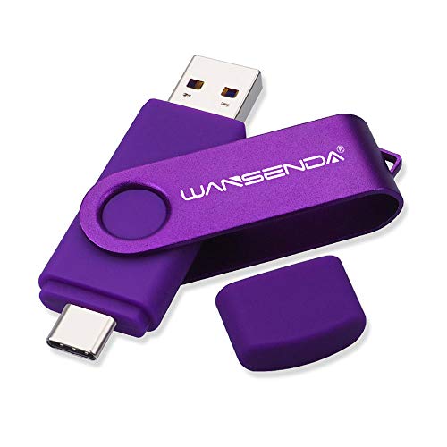 Wansenda Dual Flash Drive